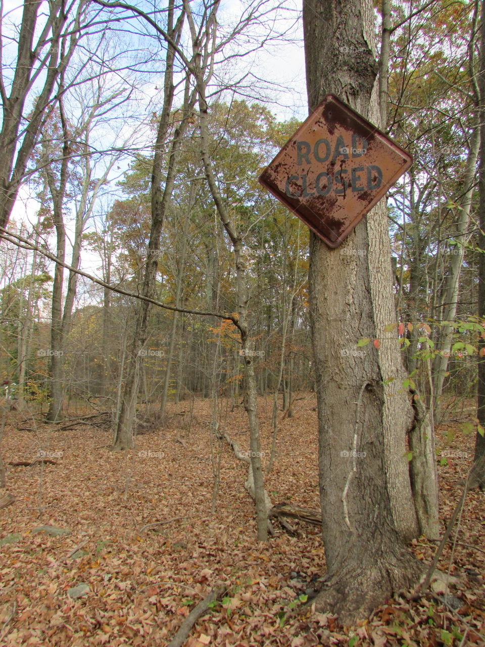 Creepy rusted road closed sign in the middle of the woods