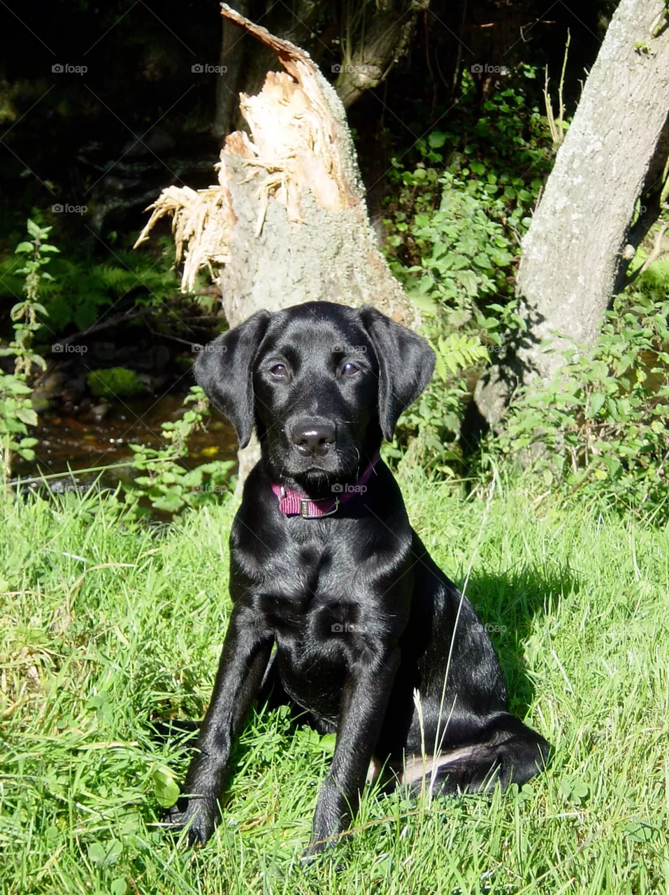Tess!