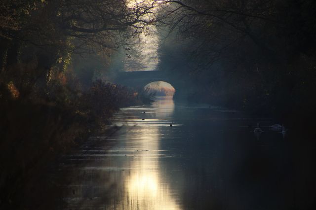 Ray of light