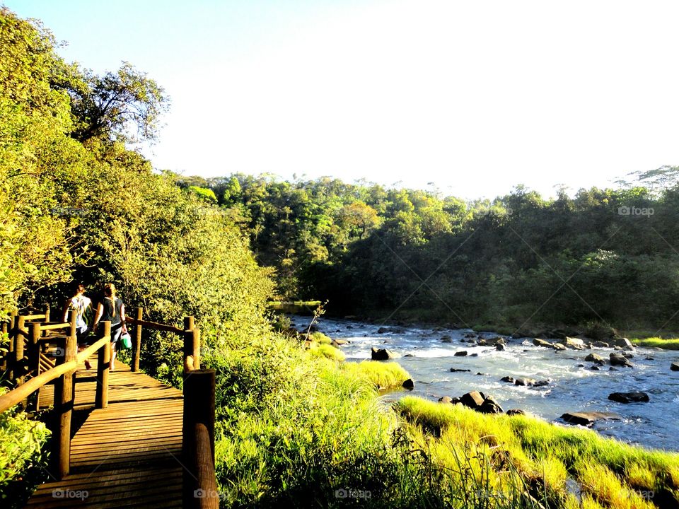 Paisagem, ponte, arvores, rio, pedras, natureza...