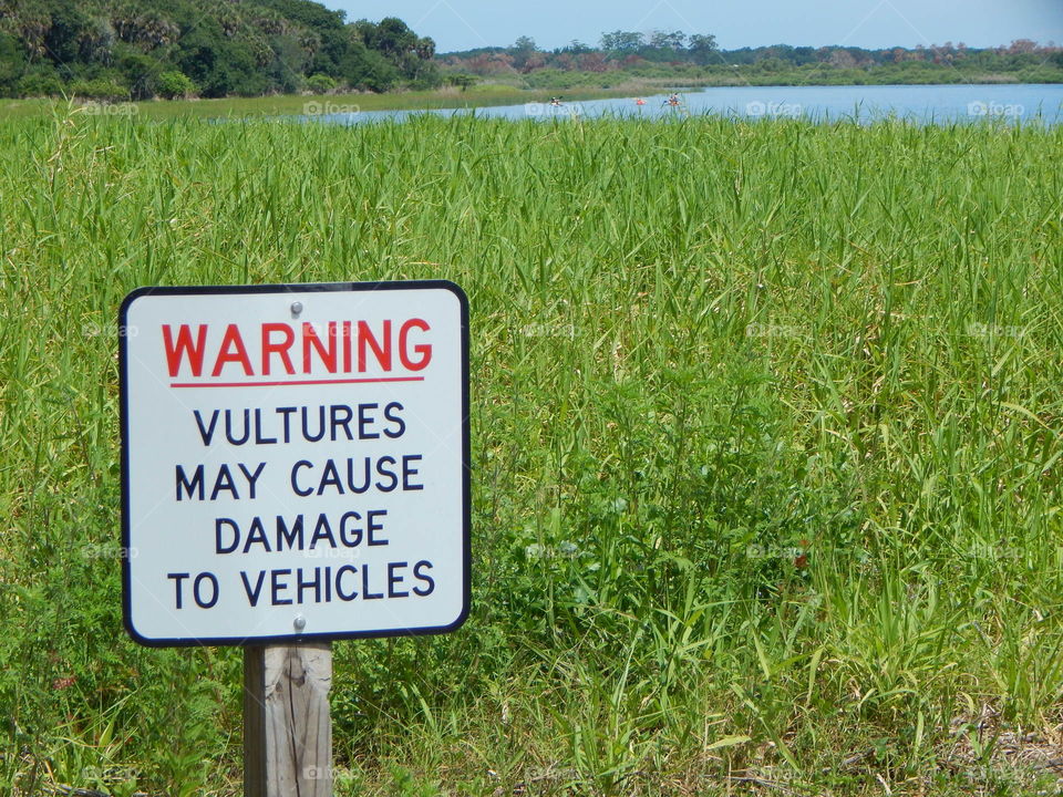Warning - Vultures May Damage Vehicles