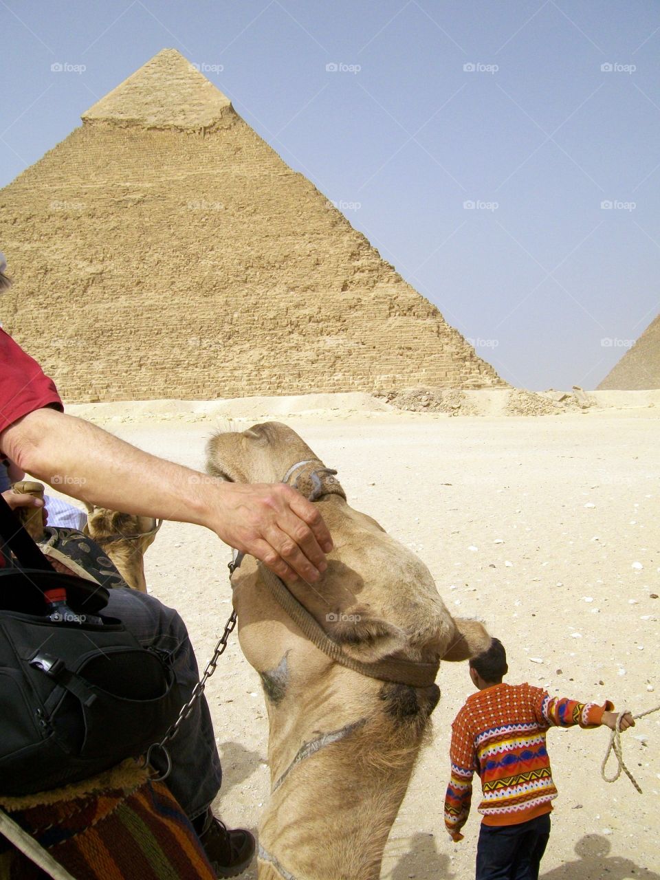 Travel companion petting a curious camel on the way up to the Giza pyramids 