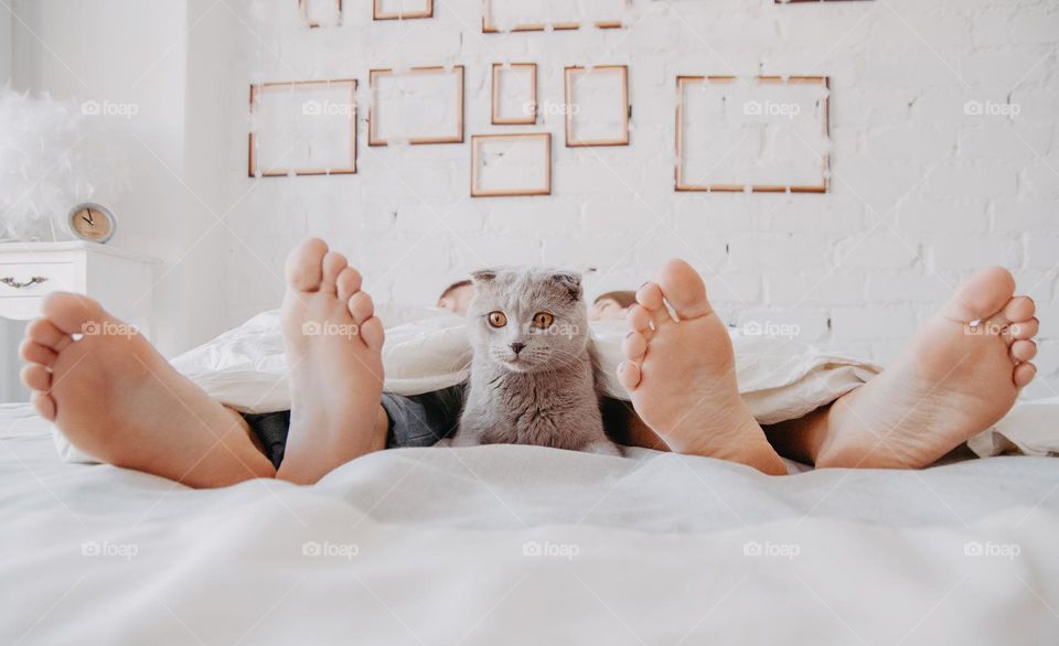 Cat on the bed with couple love on early morning
