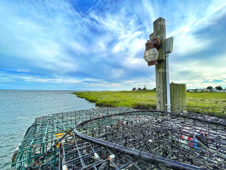 Scenic view of the water