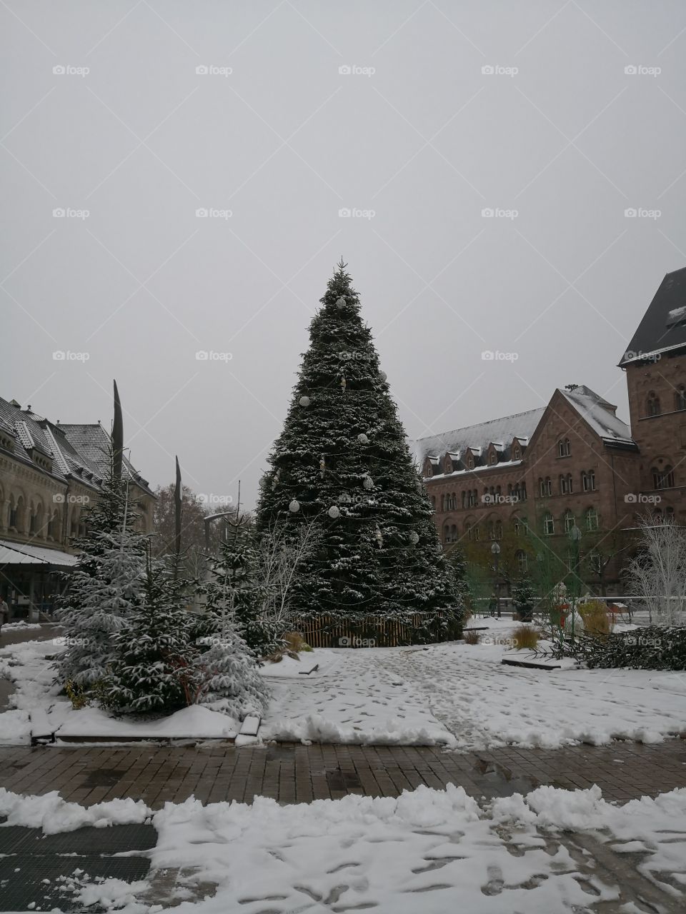Christmas Decorations, Tree, Snow, Metz, France
