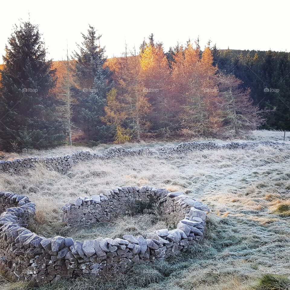 Frost at the fort