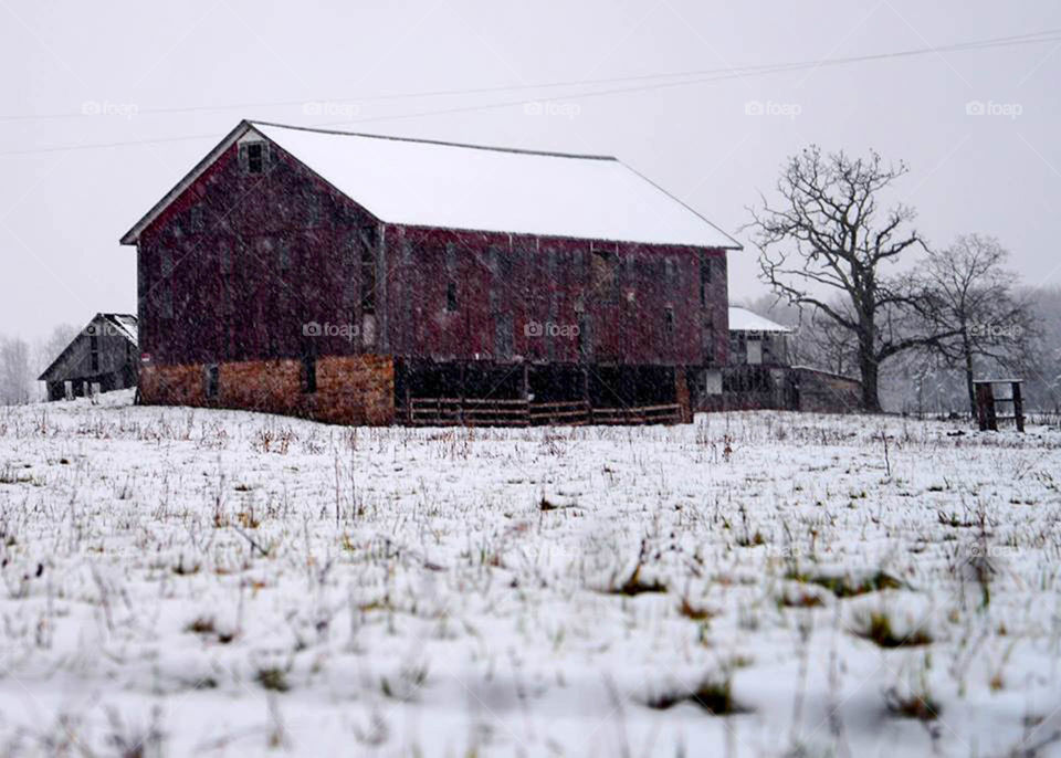 barn in snow. old country barn in snow