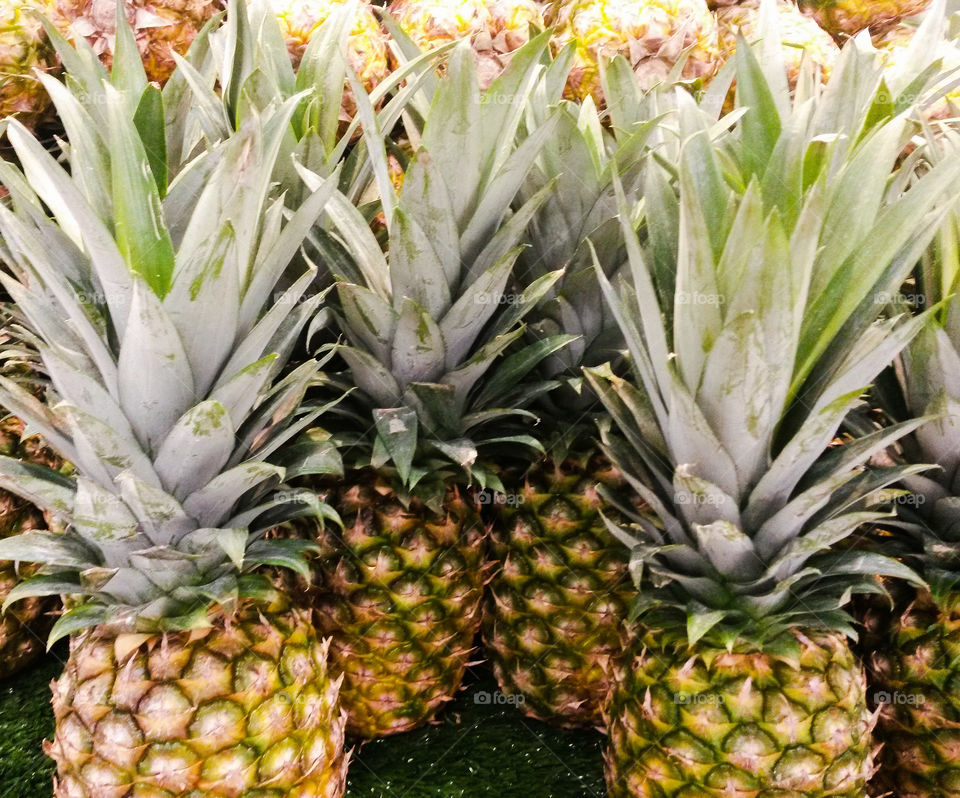 leaf crest of fresh pineapples