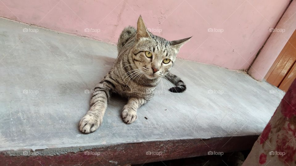 this is a good look at me