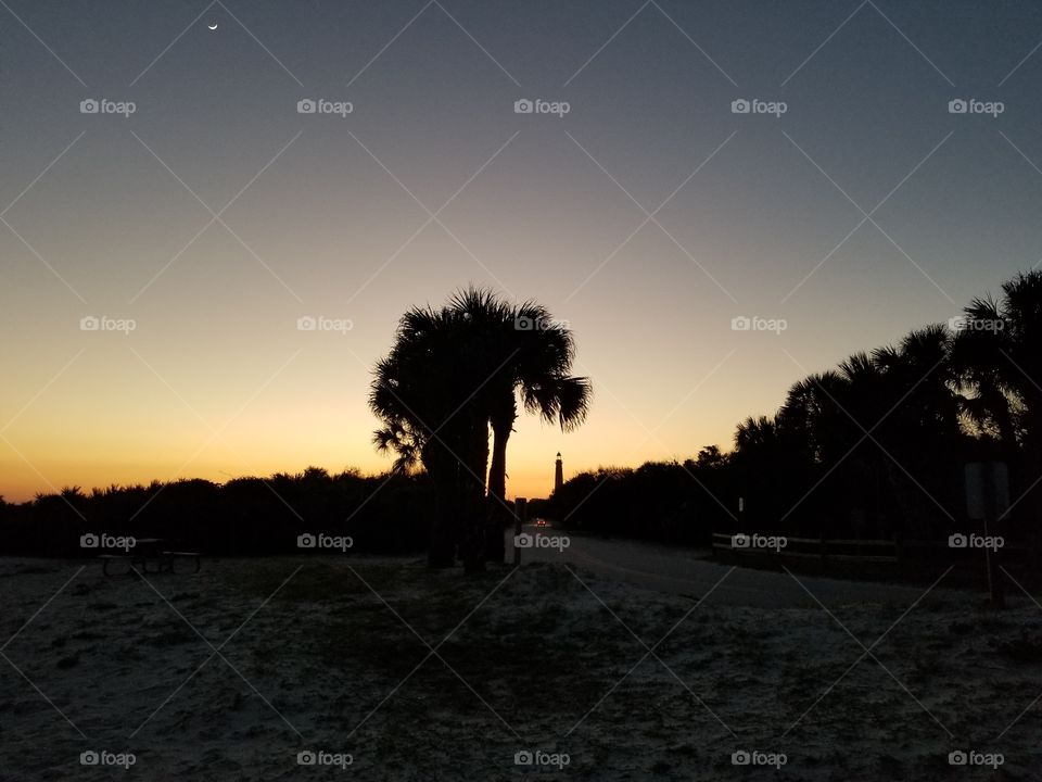 Palm Sunset Silhouette