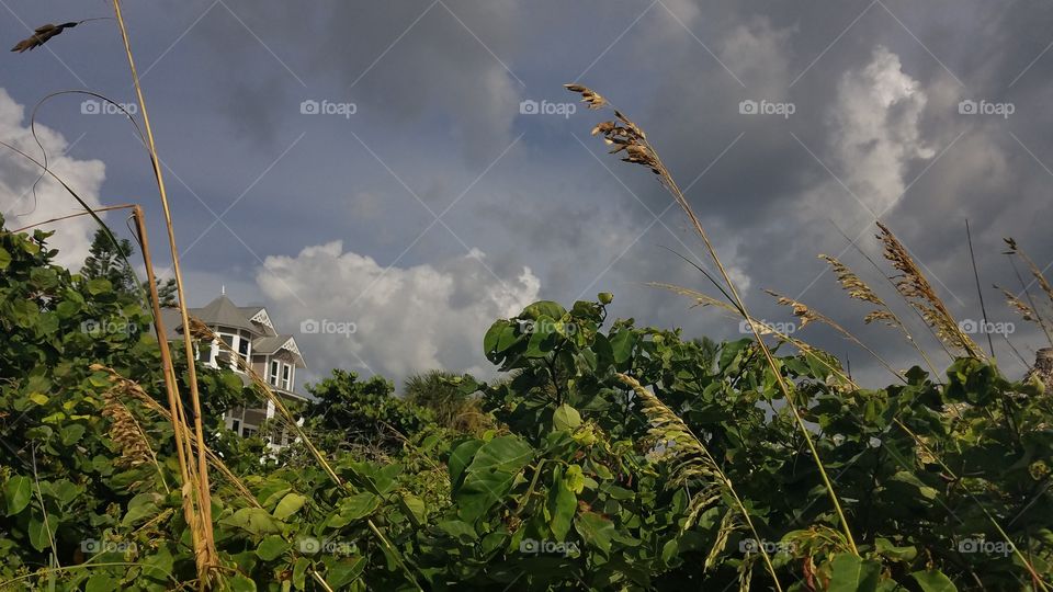 haunted is what first comes to mind...☠💀💀☠