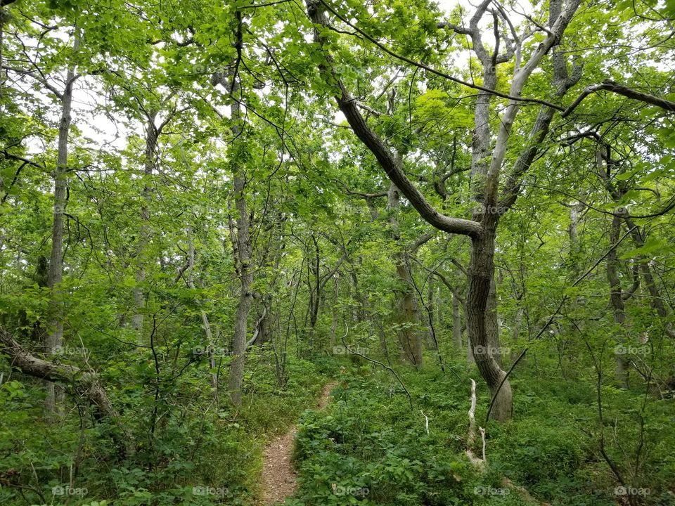 Blå Jungfrun (Blue Maiden) National Park