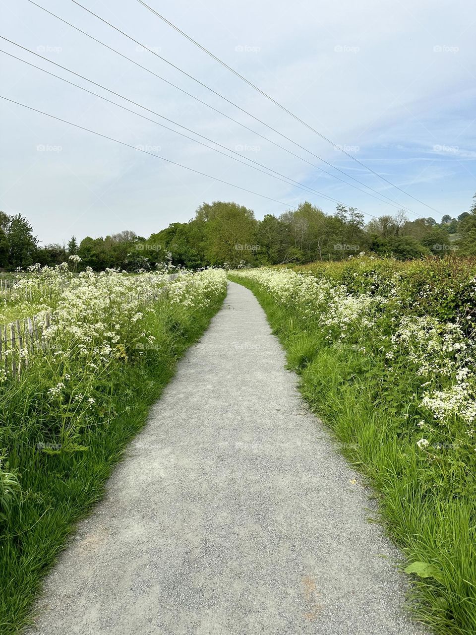 After your last sacrifice this is how your rest of your life gonna be full of flowers and joy 