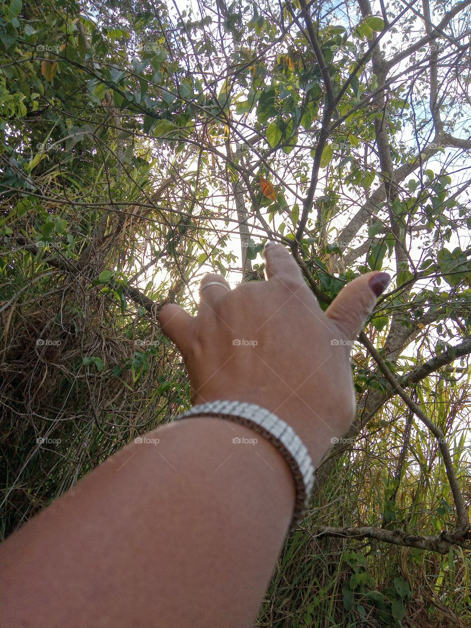 Editors'Choice: Photo of the week