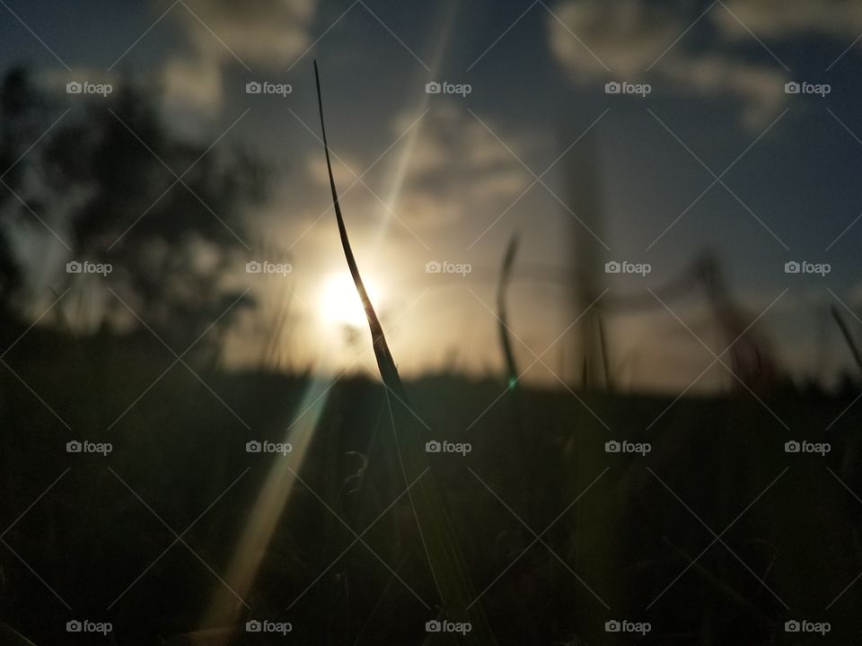 A line splits the screen in half with the sun as the center, that line is grass.