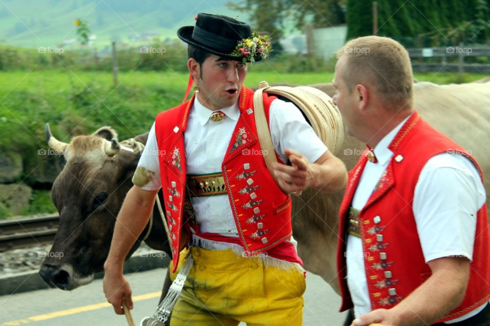 people switzerland cow farmers by merethe