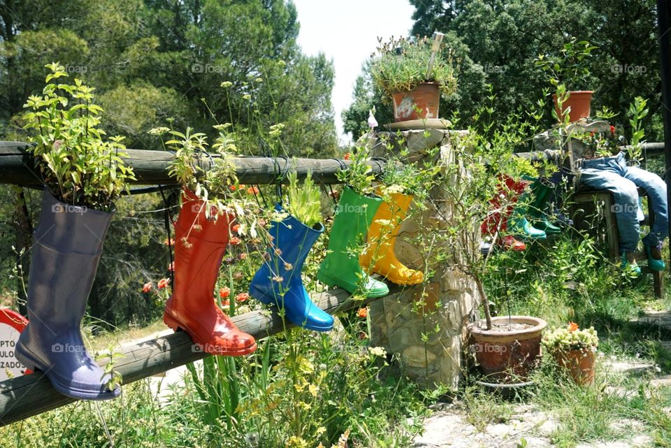 Plants#nature#rubberboots#diversity#greengrass#colors#trees#vegetation