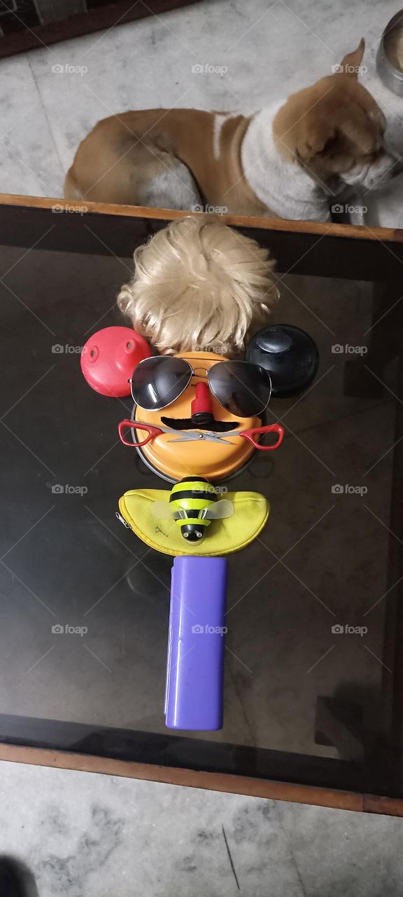 clown of objects that makes everyone laugh many times. in my eyes it is a beautiful art piece,