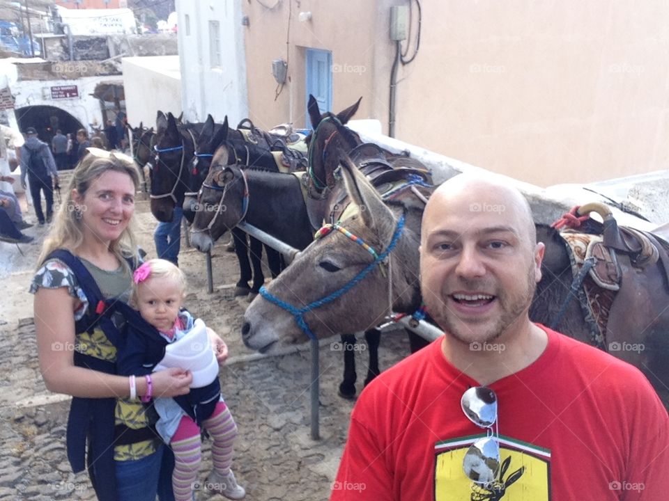 Me, my Family and the Donkeys 