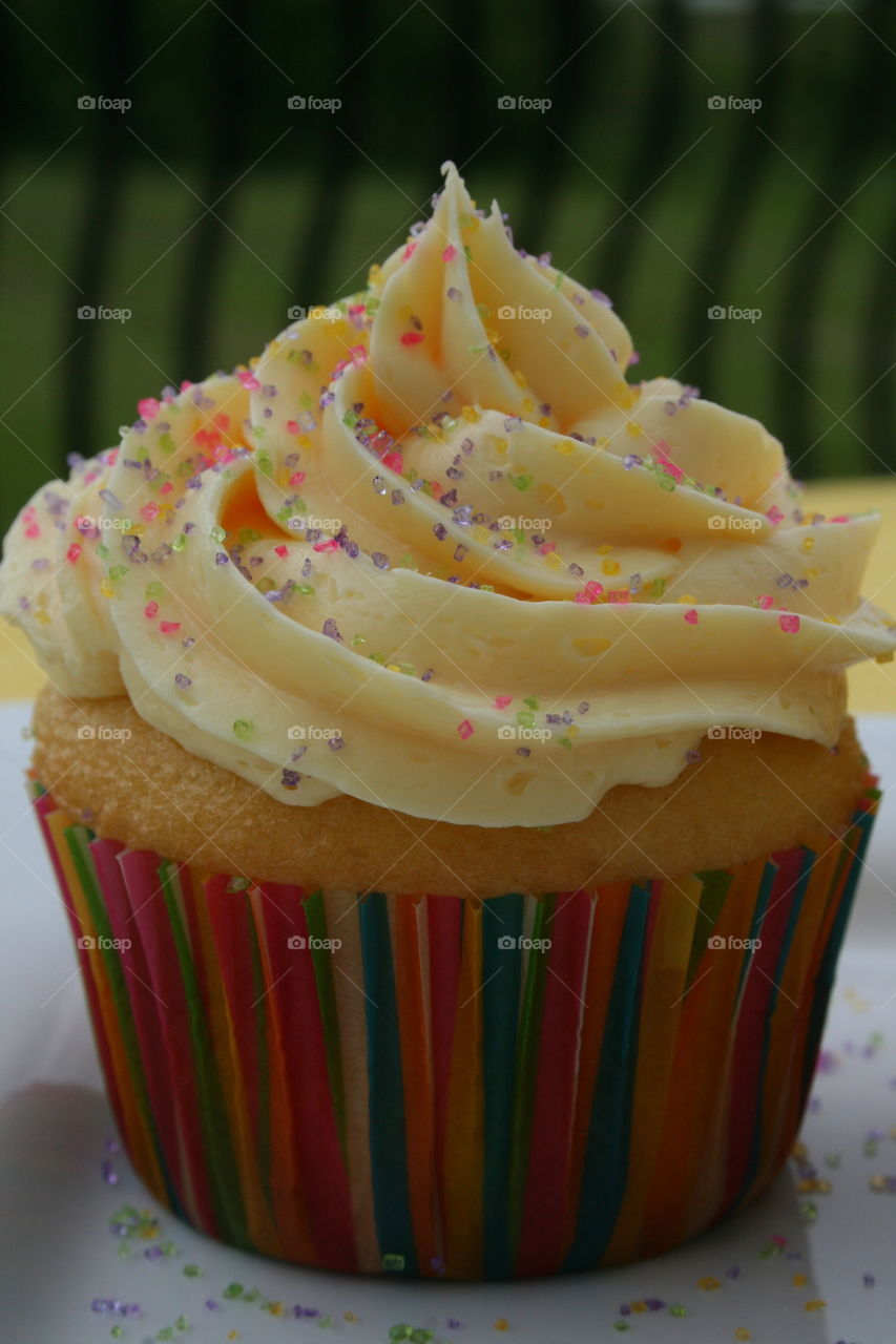 Celebration Cupcake 