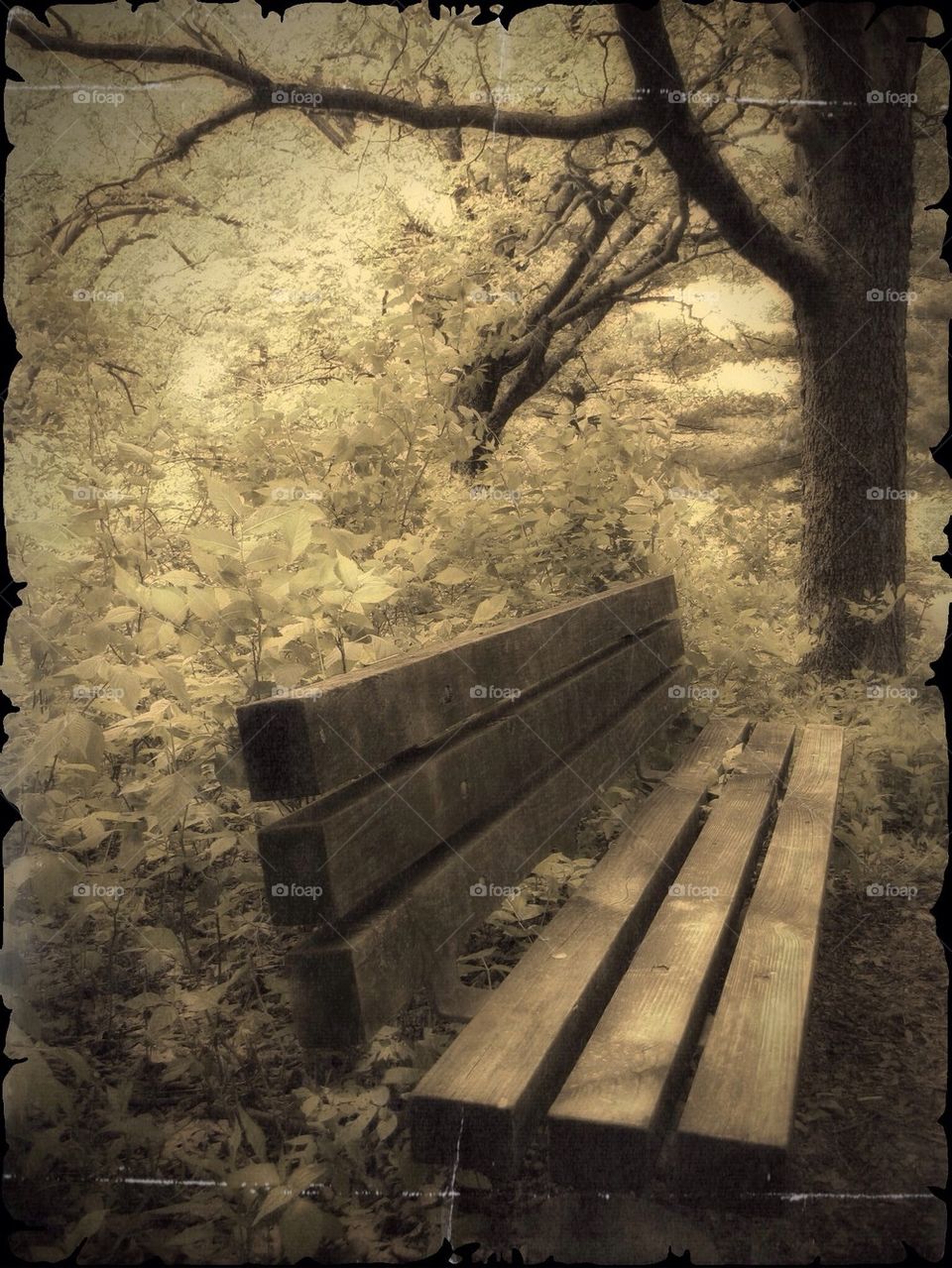 Bench