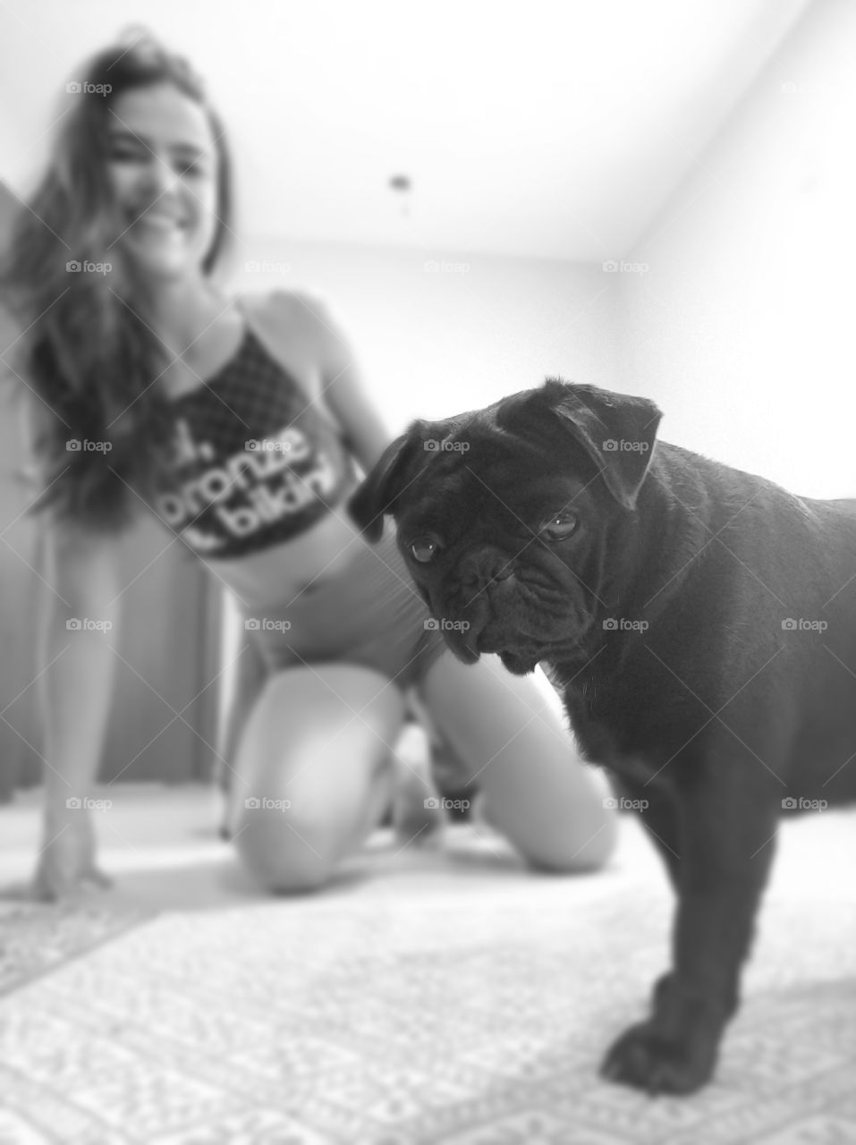 Pug