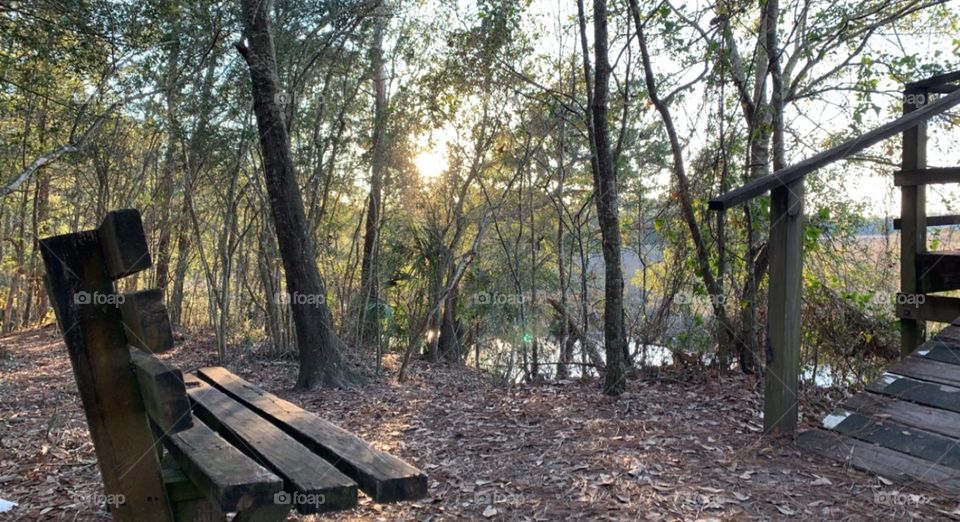 Park bench view on a walk I took. I loved the air on this day, so fresh and clear! 