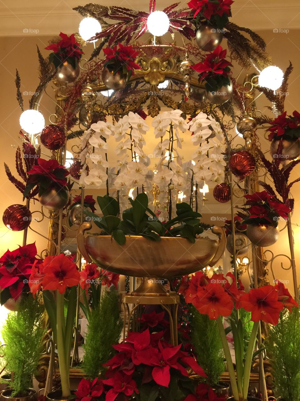 Christmas at the Hotel Sutton