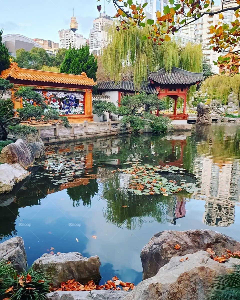 Visiting Chinese Garden of Friendship in Sydney