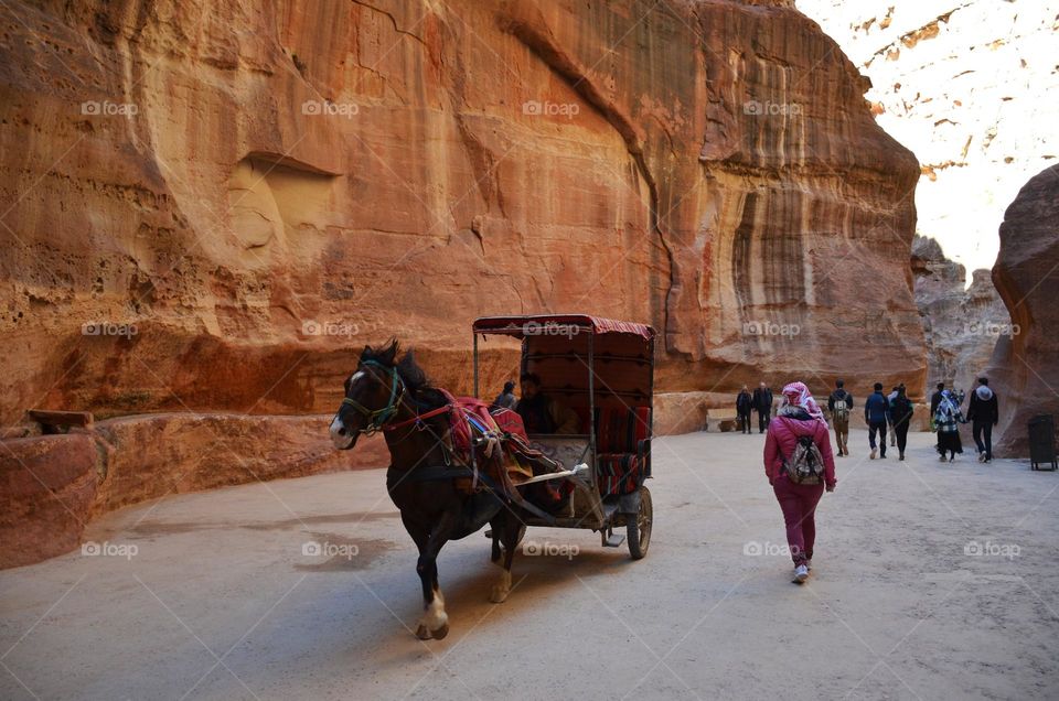 Road Trip, Petra, Jordan