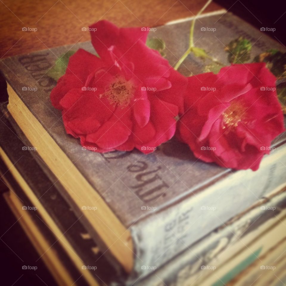 Roses on books 