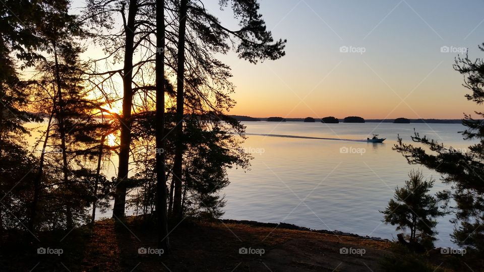 sunrise over a lake with trees