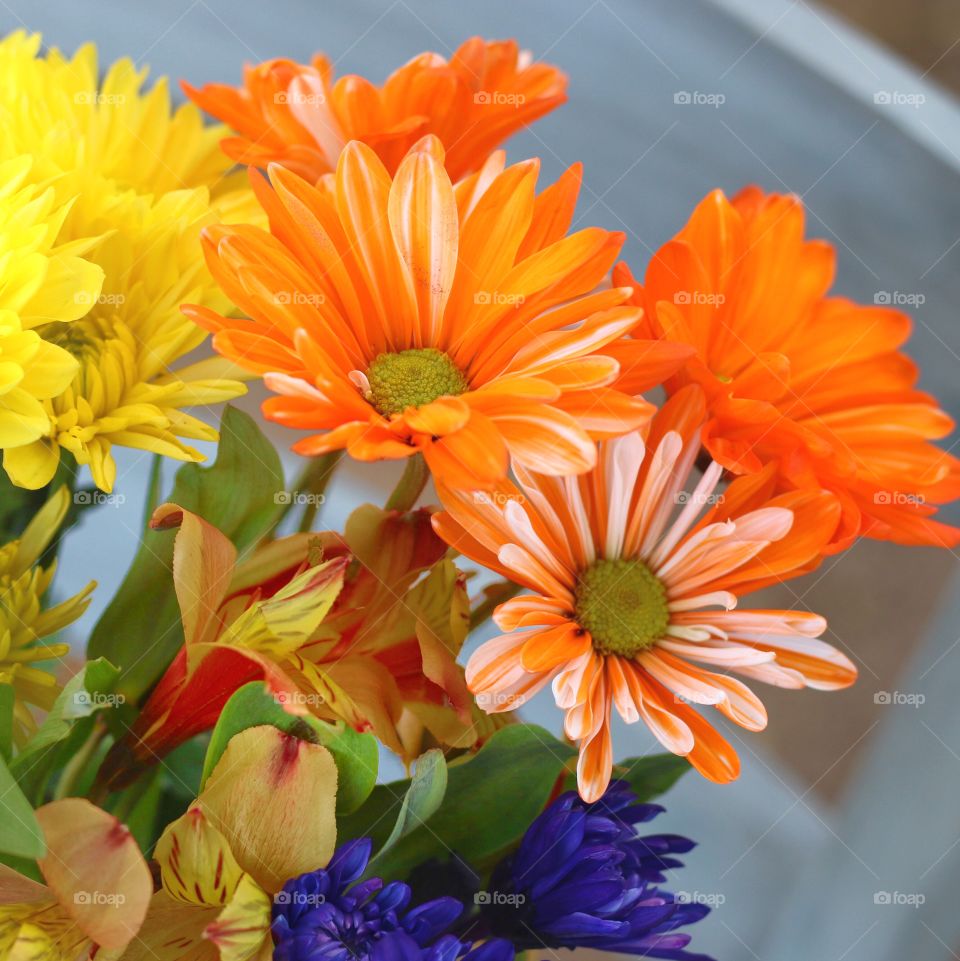 Gerbera flowers bouquet