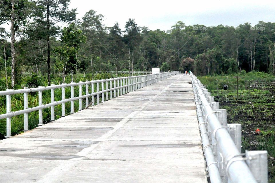 --Asmat: The Bridge....