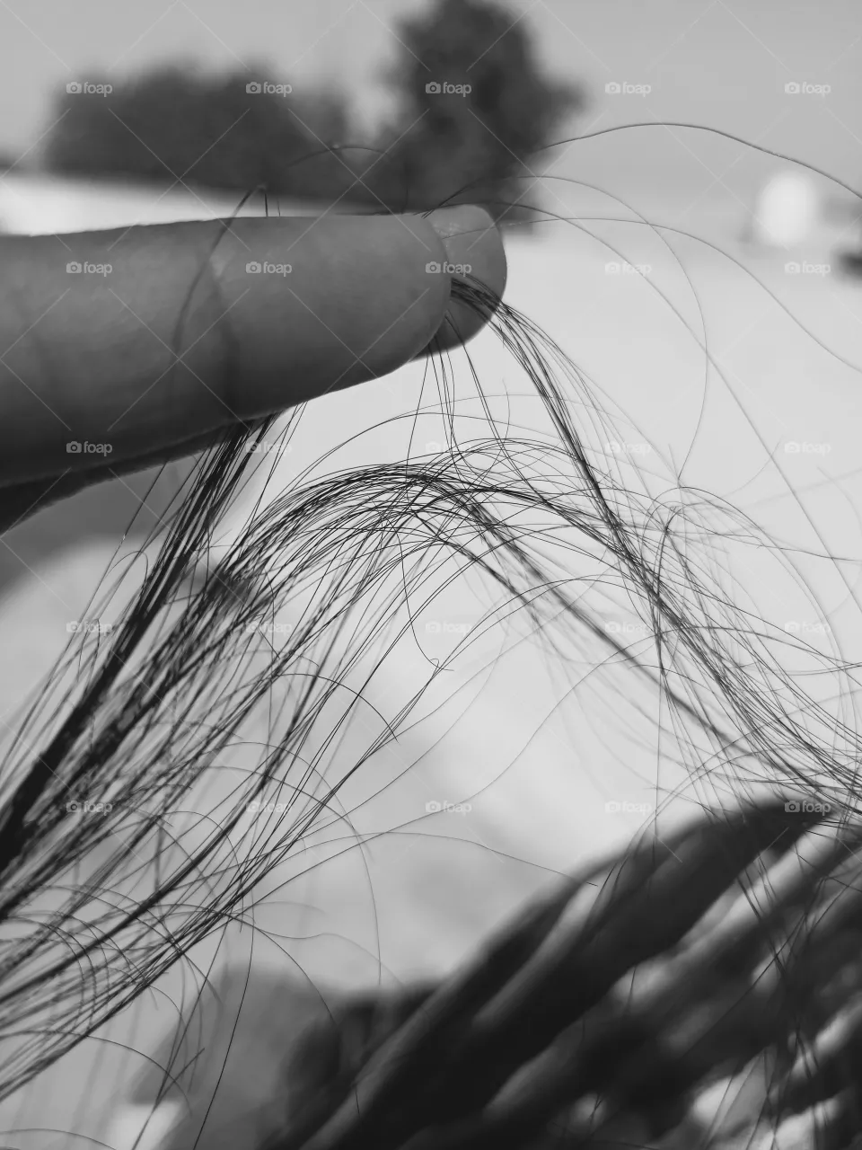 hair