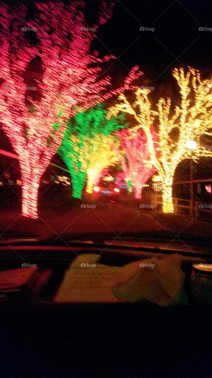 lights on the lake. light show at lakemont