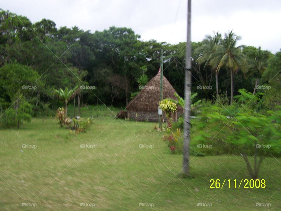 Fijian hut