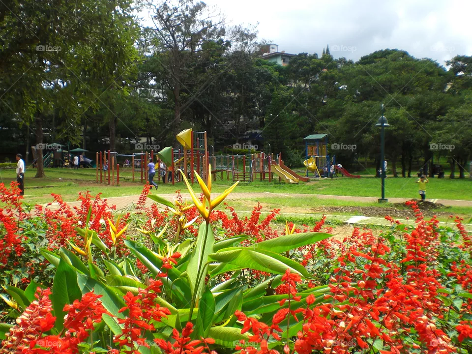 Playground