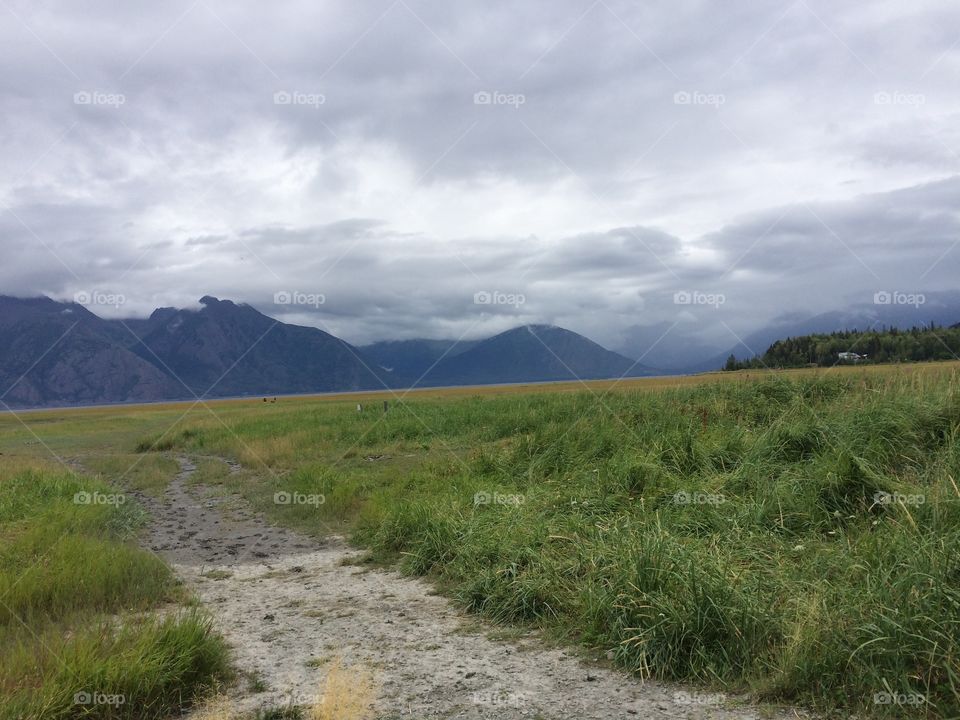 Along a river in Hope Alaska