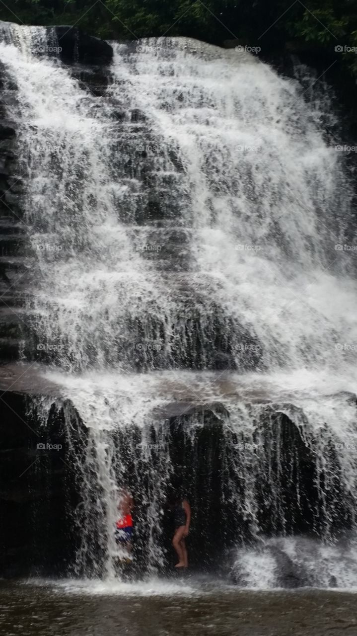 swallow falls