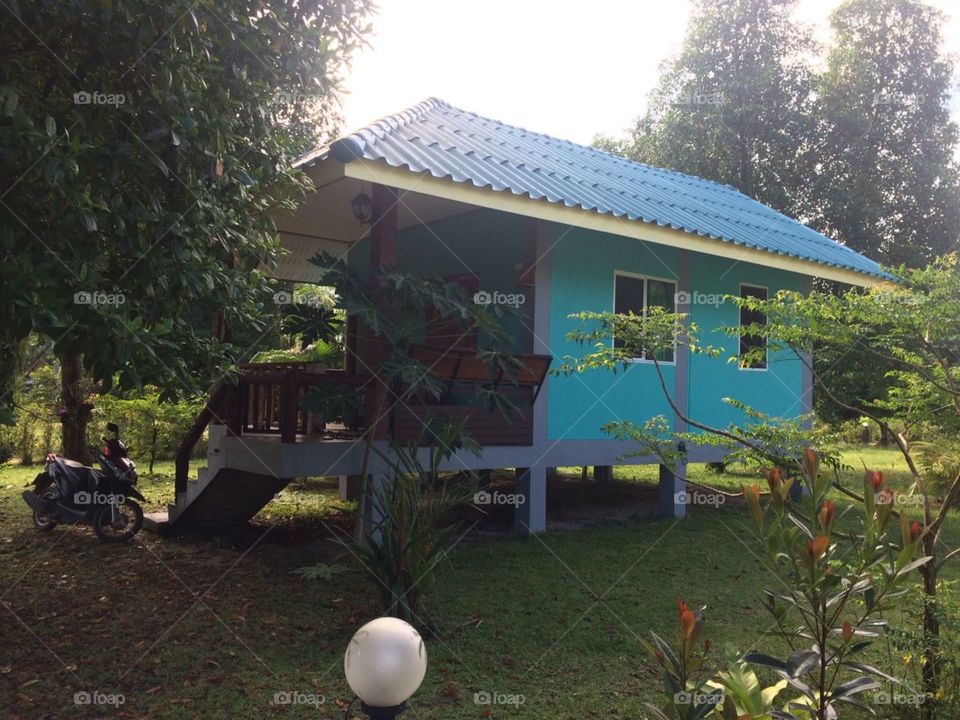 Домик в джунглях 