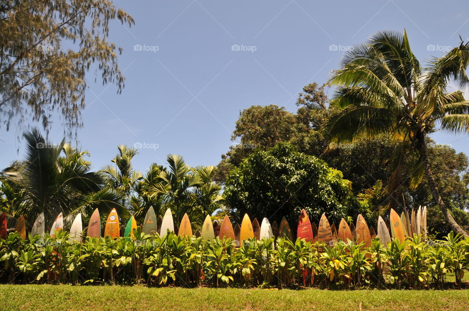 Surfboard fence 