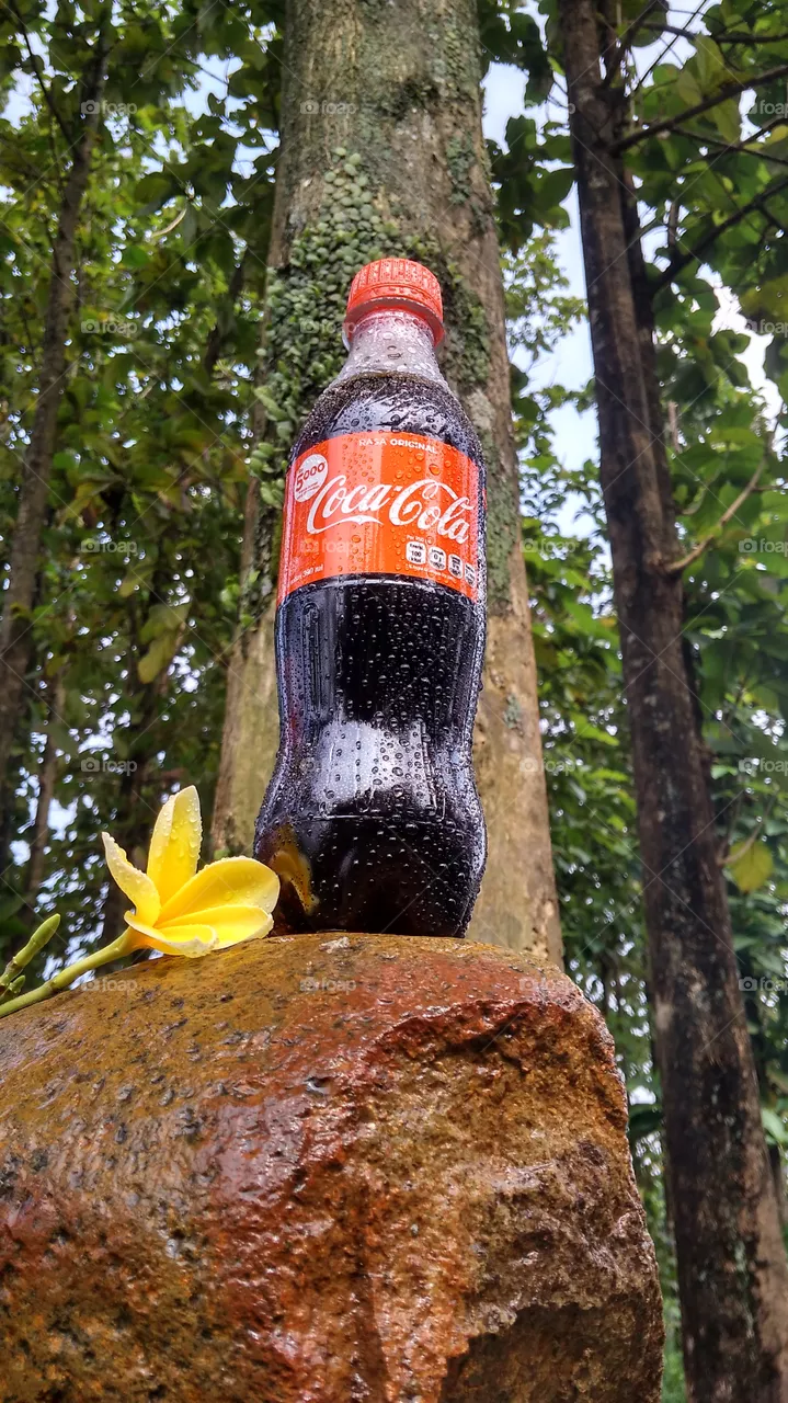 cocacola