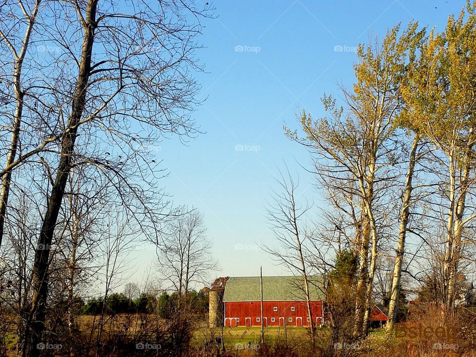 Red Barn Landscape 