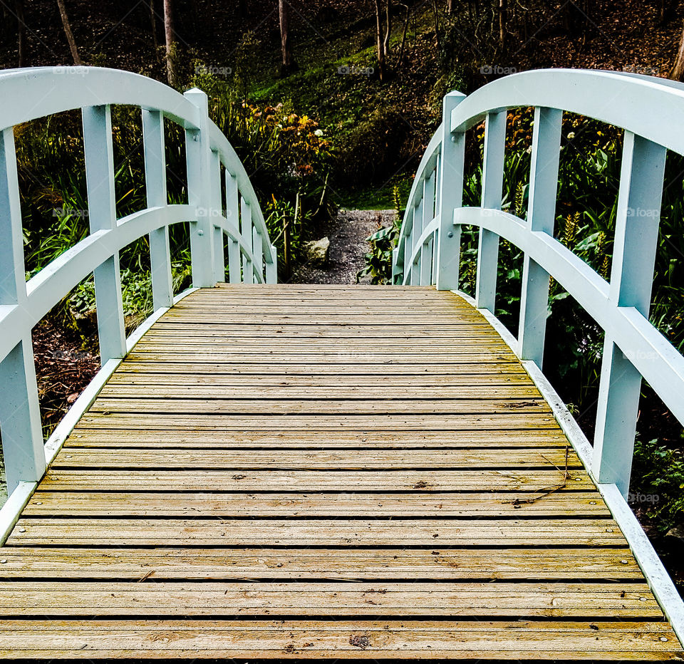 Monet Inspired footbridge