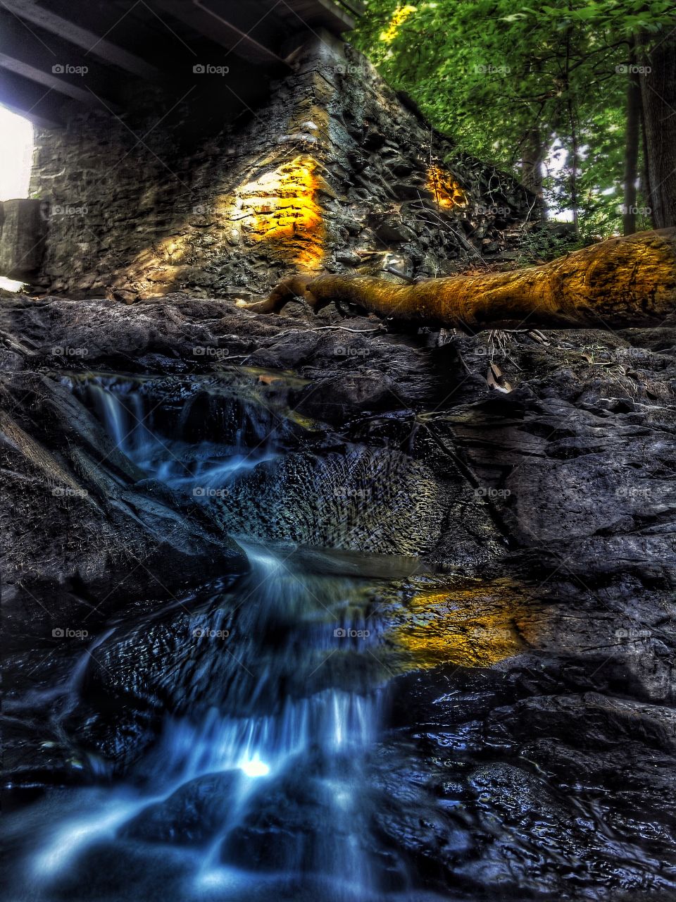 Water under the bridge . A series of tiny waterfalls cascading under a small woodland bridge. 