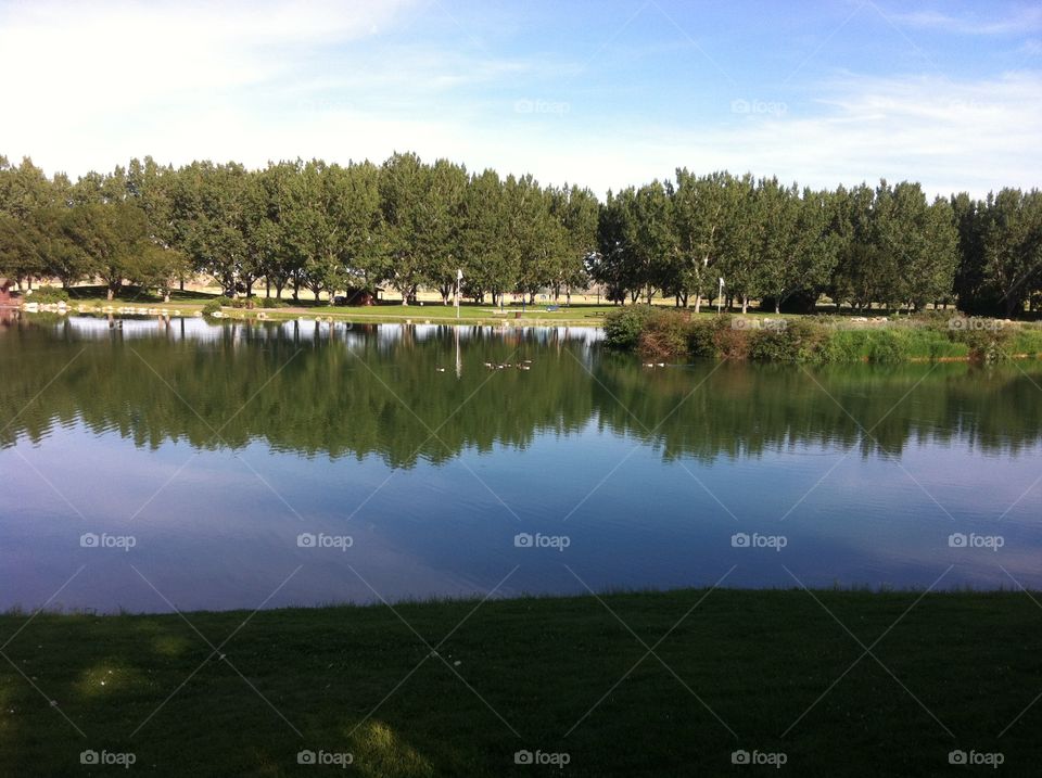 Mirror-like at Ecodale Park, Medicine Hat