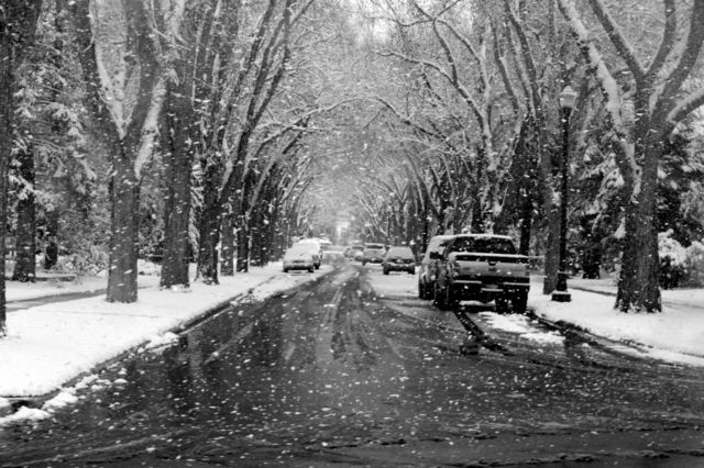 street