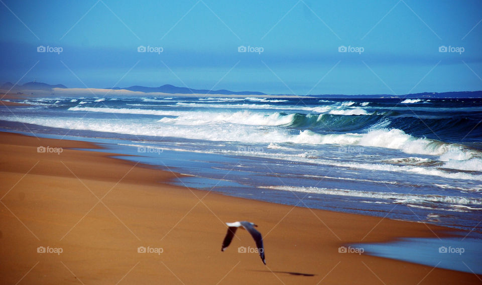 beach ocean water sand by paullj