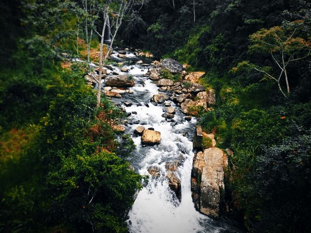 up to the river